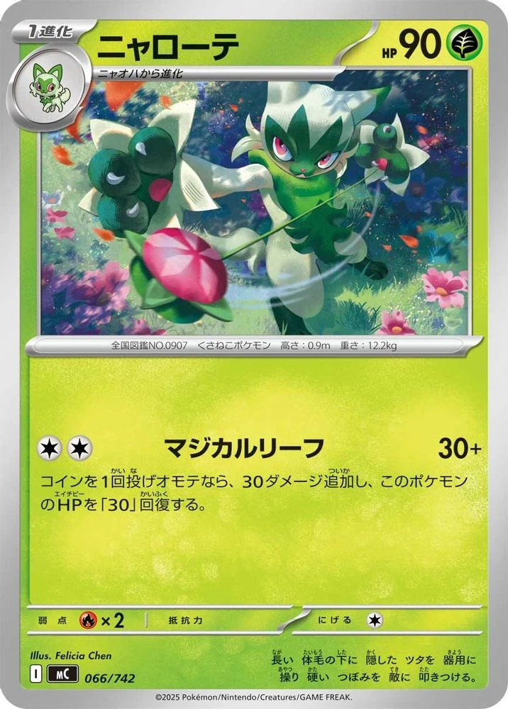 Floragato #66