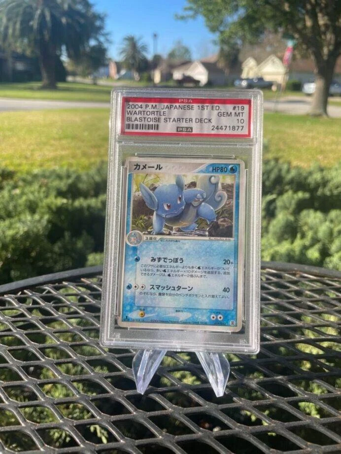 Wartortle #19