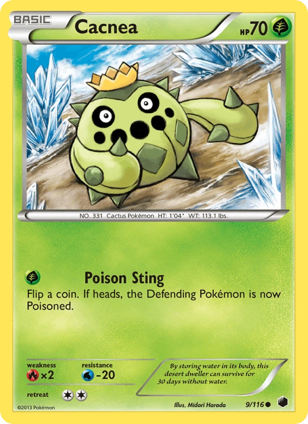 Cacnea #9