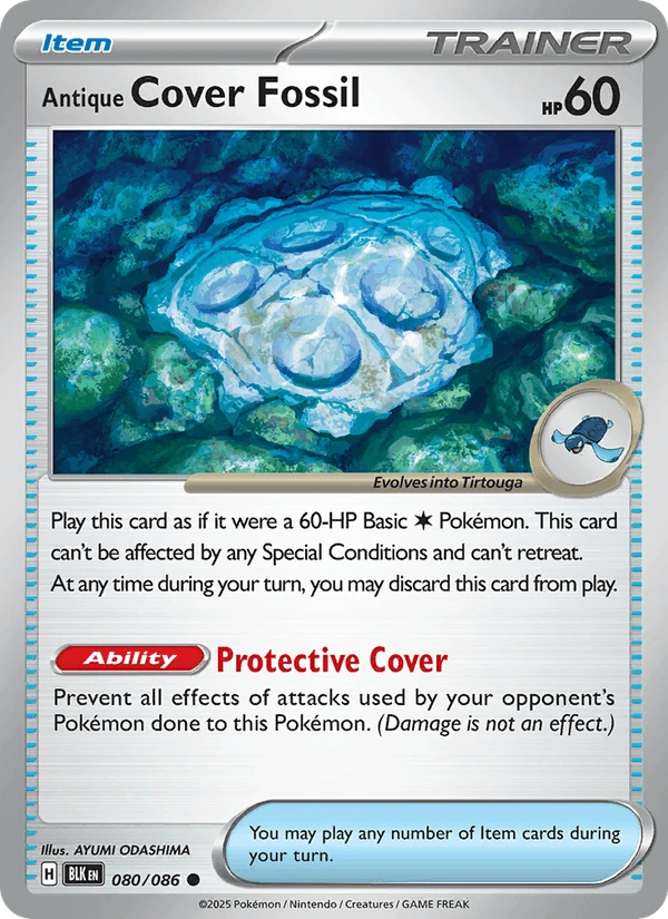 Antique Cover Fossil #80