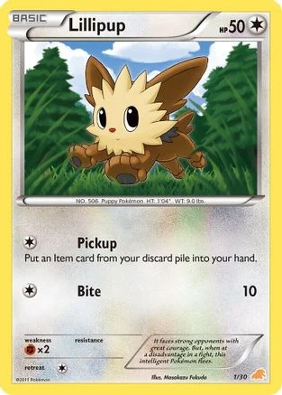 Lillipup #1