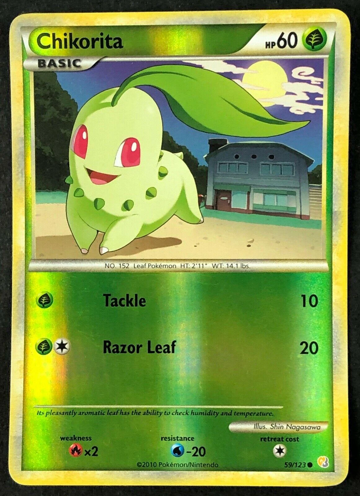 Chikorita Reverse Holo #59