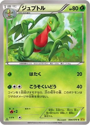 Grovyle #4