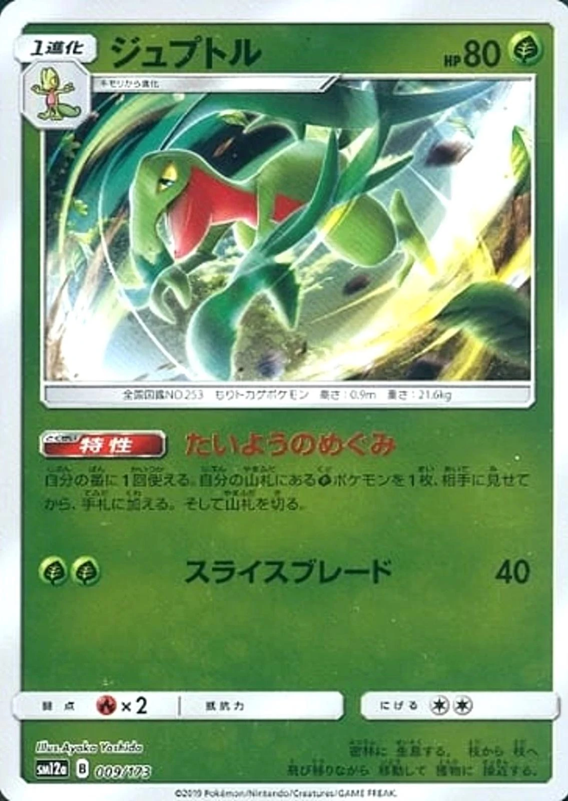 Grovyle Reverse Holo #9