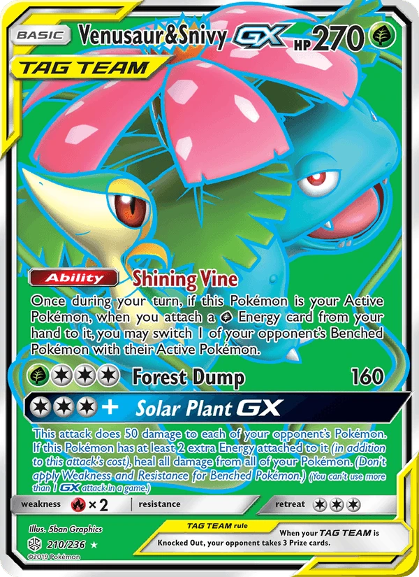 Venusaur & Snivy Gx #210
