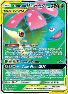 Venusaur & Snivy Gx