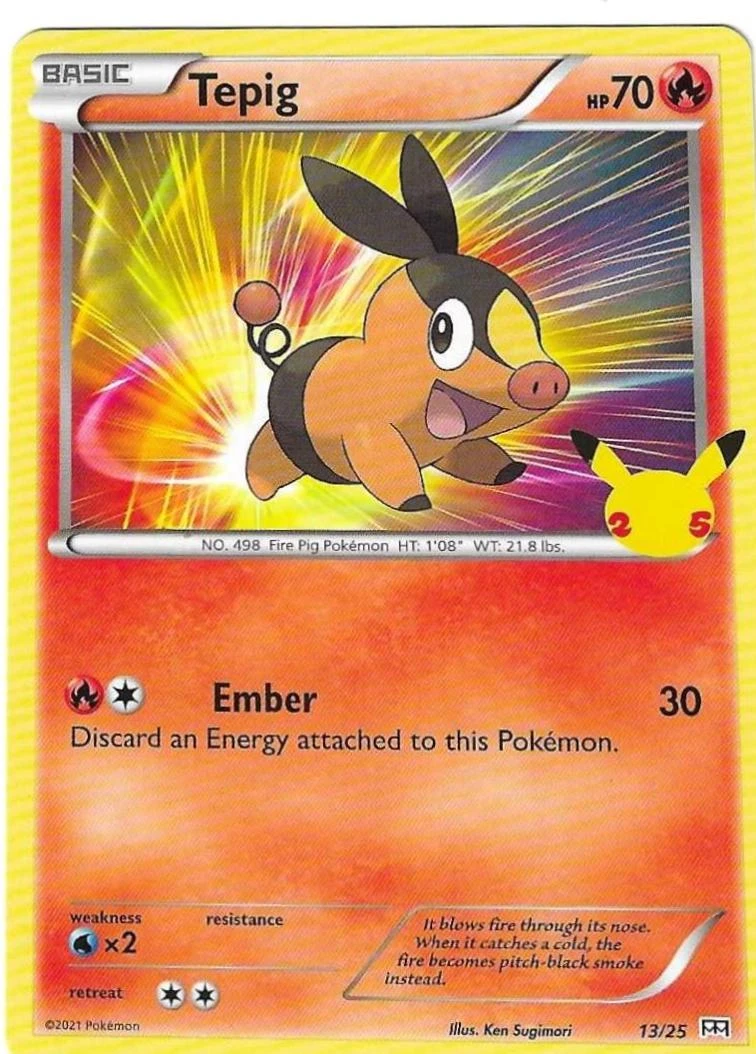 Tepig #13