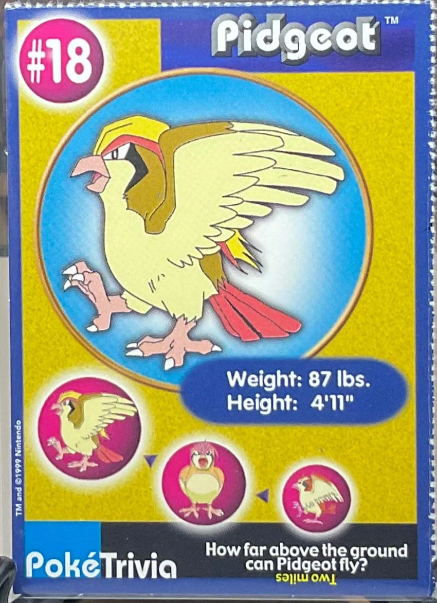 Pidgeot #18