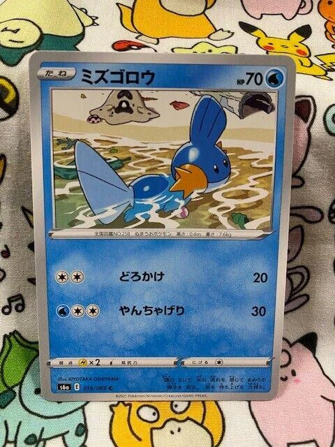 Mudkip #19