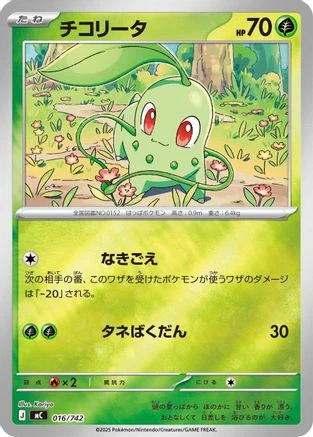 Chikorita Mirror Holo #16
