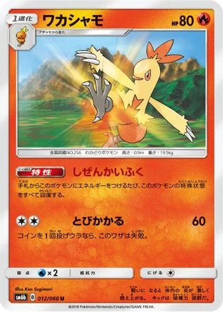Combusken #12