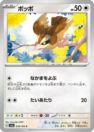 Pidgey #16