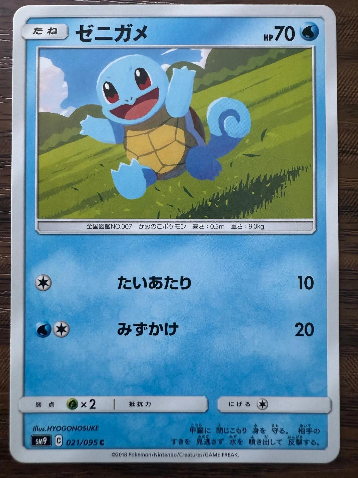 Squirtle #21