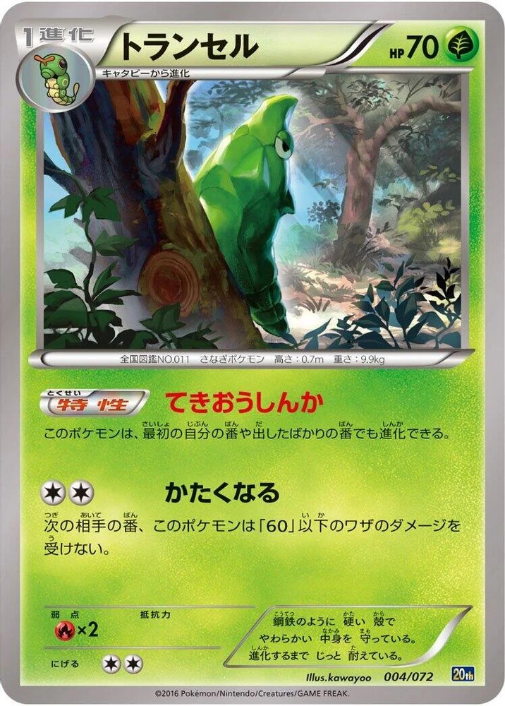 Metapod #4