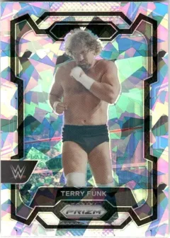 Terry Funk [Ice]