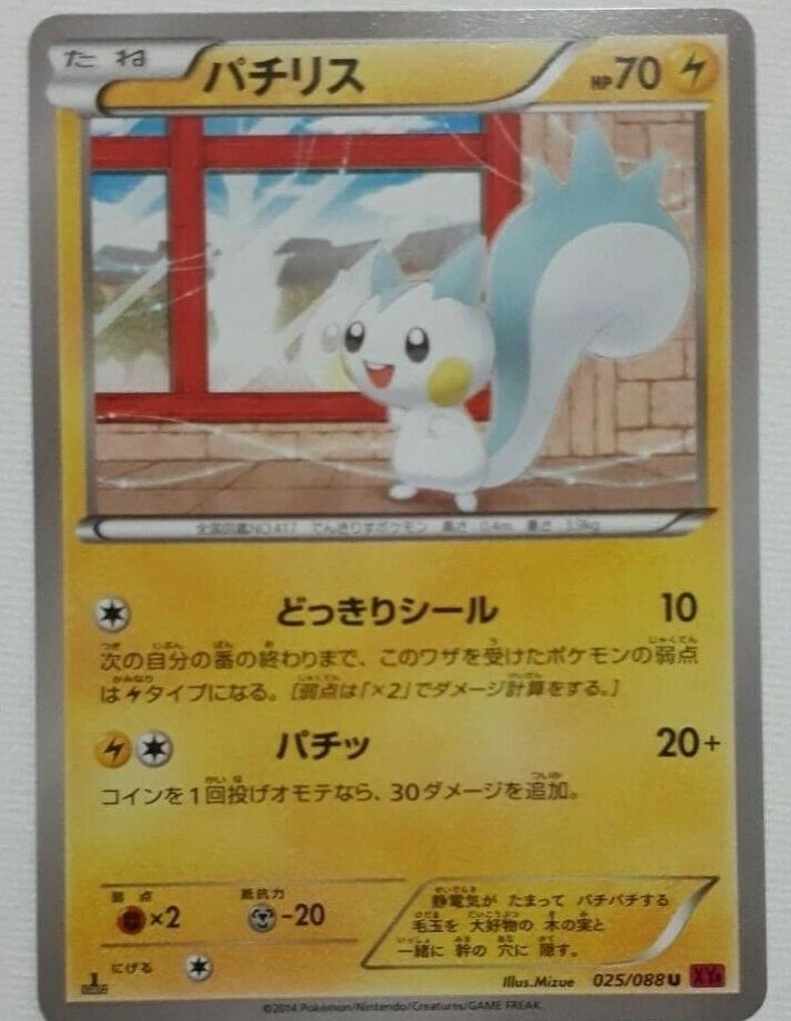 Pachirisu #25