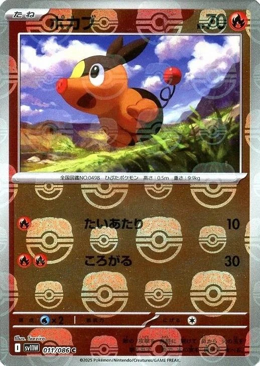 Tepig Master Ball #11