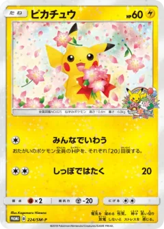 Pikachu Pokemon Center 20th Anniversary Campaign