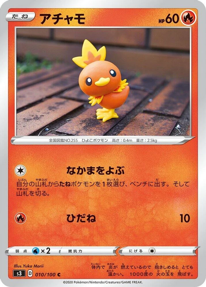 Torchic #10