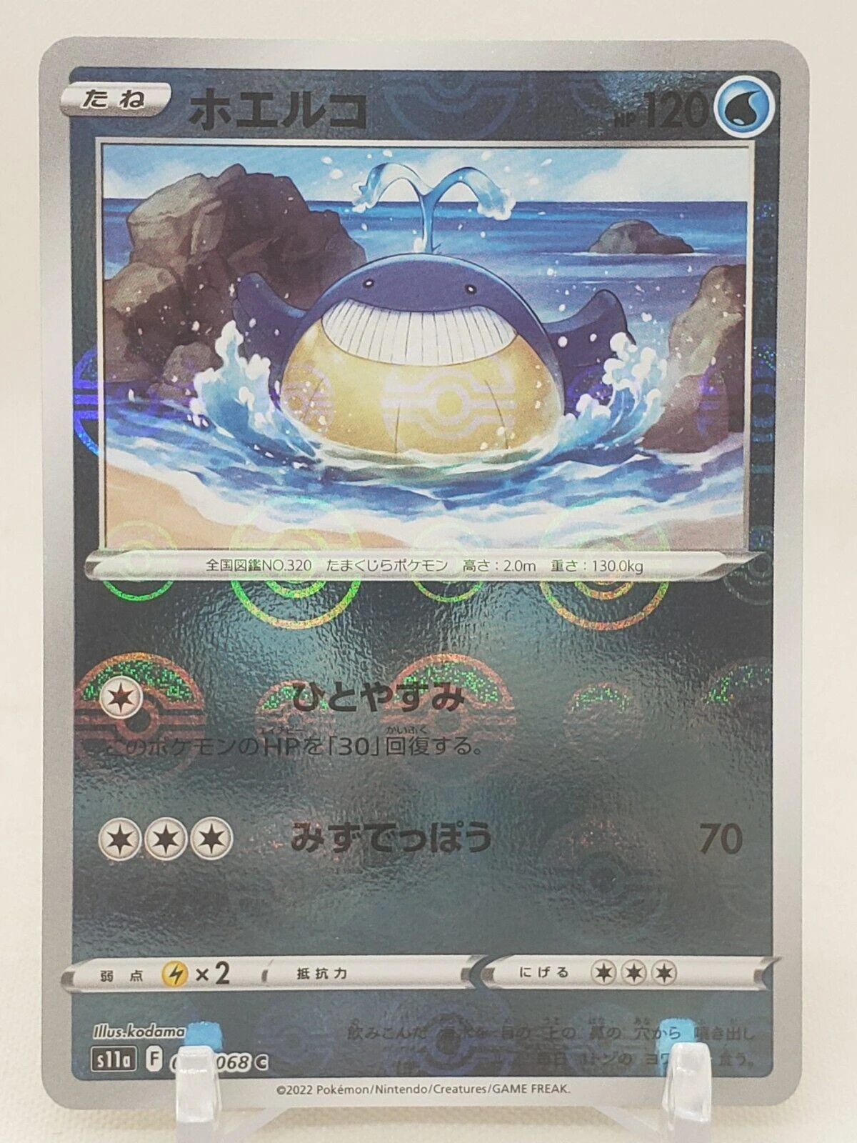 Wailmer Reverse Holo #25
