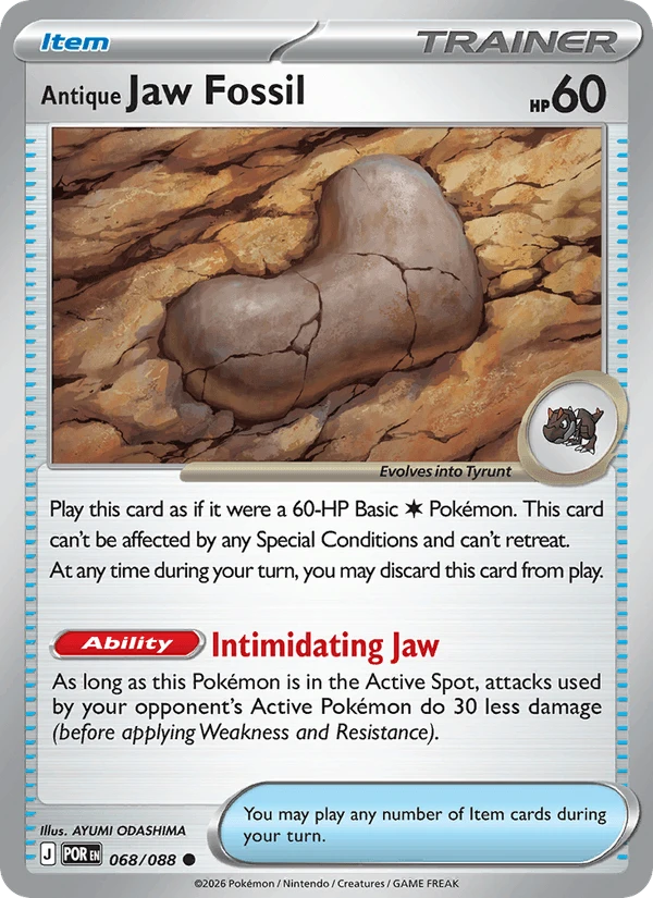 Antique Jaw Fossil #68