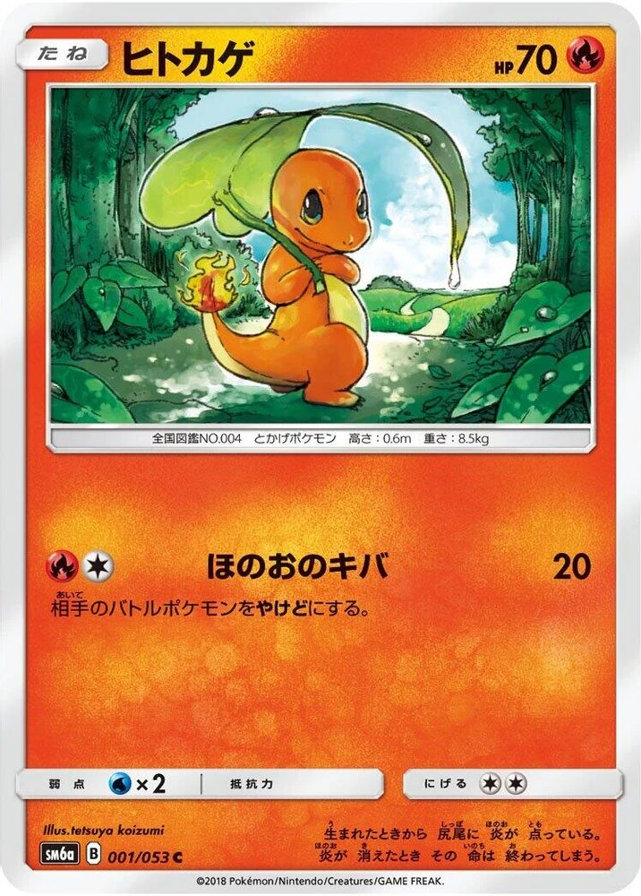 Charmander #1