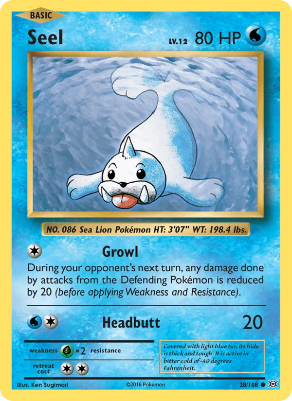 Seel #28