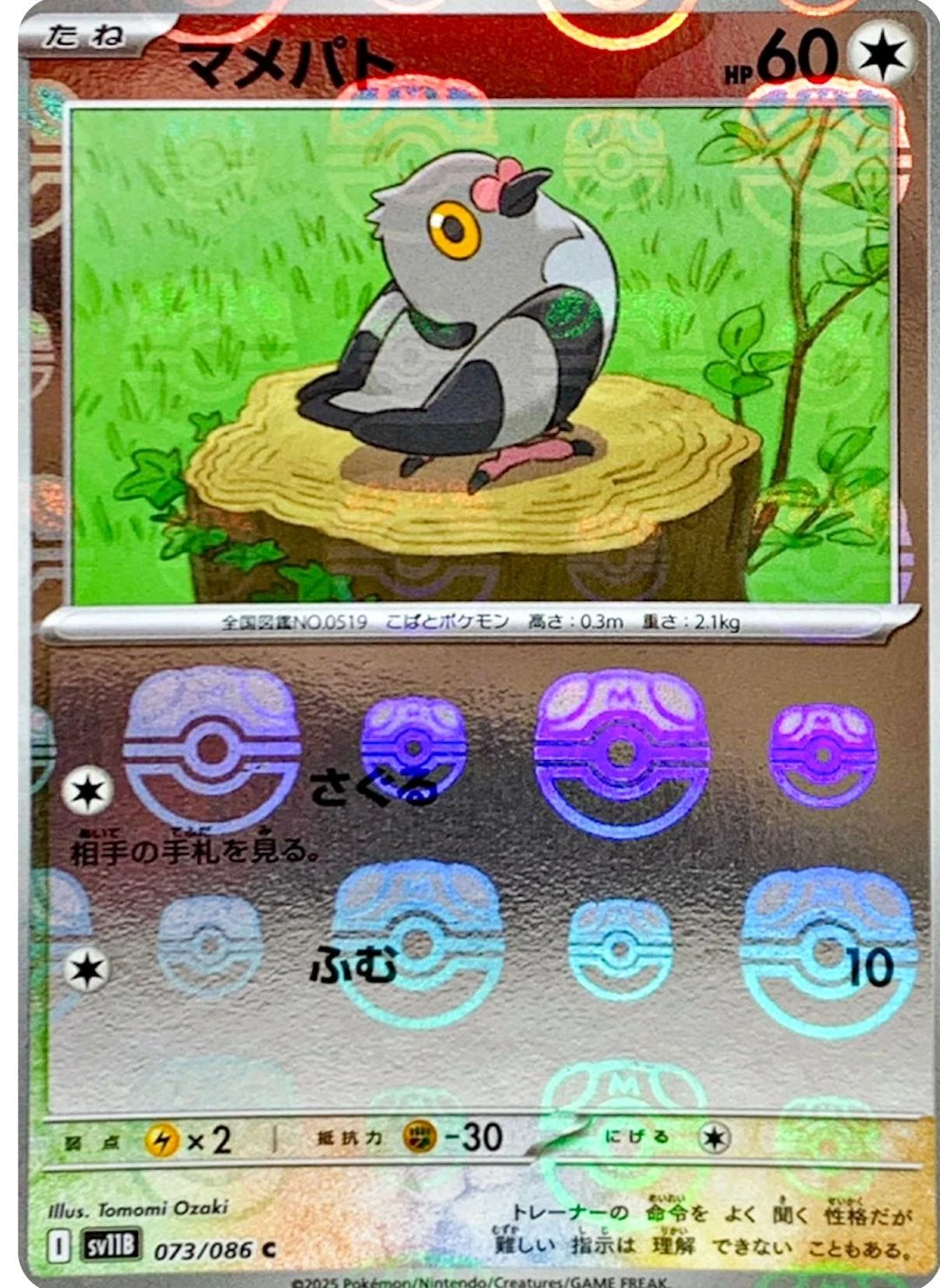Pidove Poke Ball #73