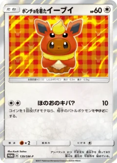 Poncho Wearing Eevee 139sm P
