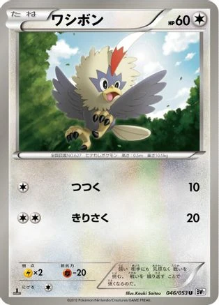 Rufflet #46