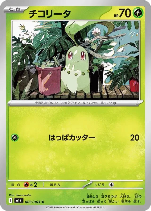 Chikorita #3