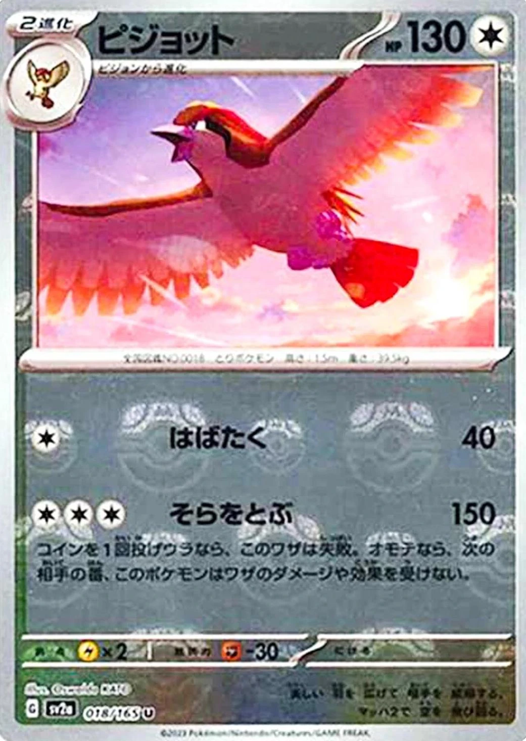 Pidgeot Master Ball #18