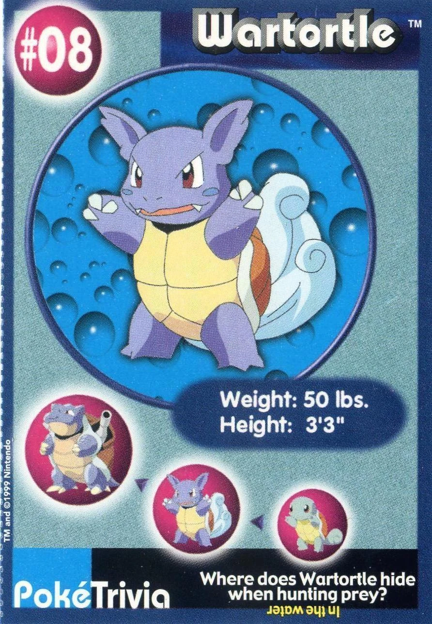 Wartortle #8