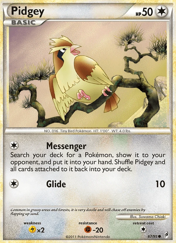 Pidgey #67
