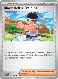 Black Belt's Training Poke Ball