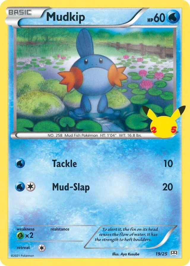 Mudkip #19