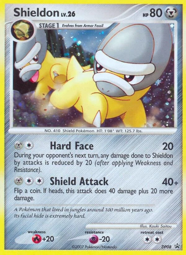 Shieldon Dp08