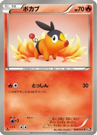 Tepig #8