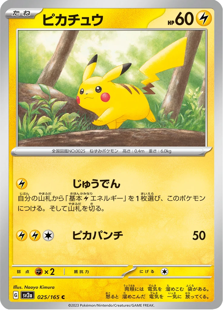 Pikachu Master Ball #25