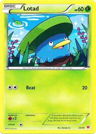 Lotad #23