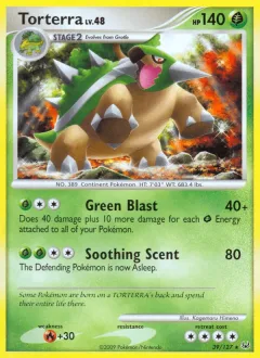 Torterra Reverse Holo