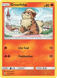 Growlithe Reverse Holo