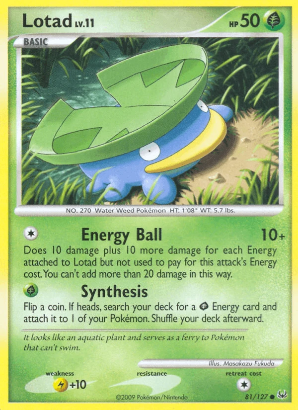 Lotad #81