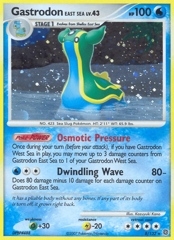 Gastrodon East Sea #8