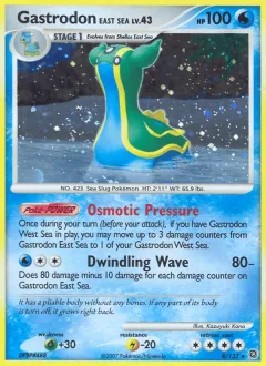 Gastrodon East Sea Reverse Holo