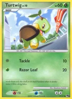 Turtwig Holo
