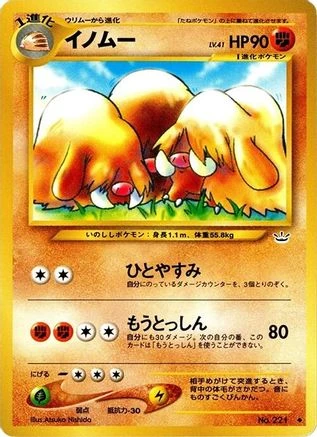 Piloswine #221