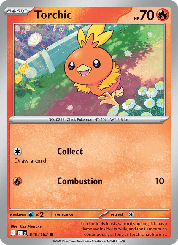 Torchic #40