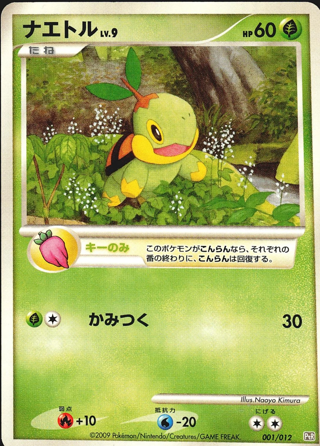 Turtwig #1