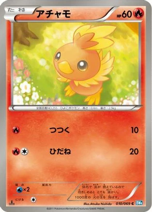 Torchic #10